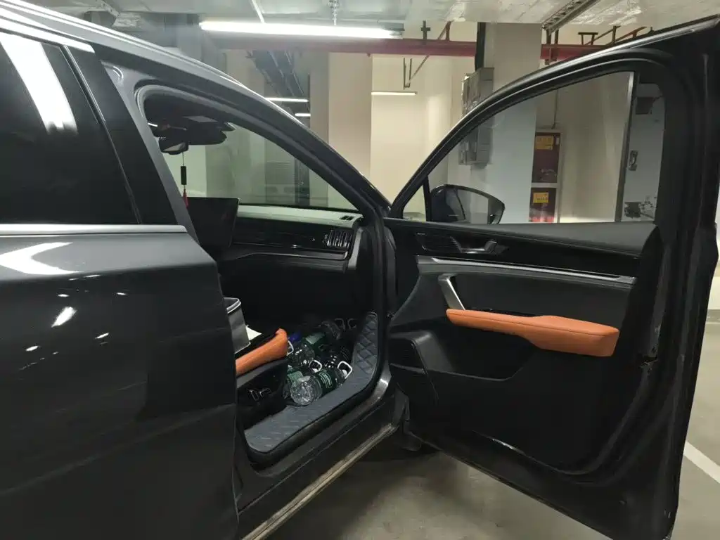 BYD Tang New Energy — миниатюра 18