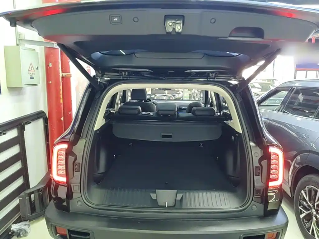 Haval Big Dog — миниатюра 19