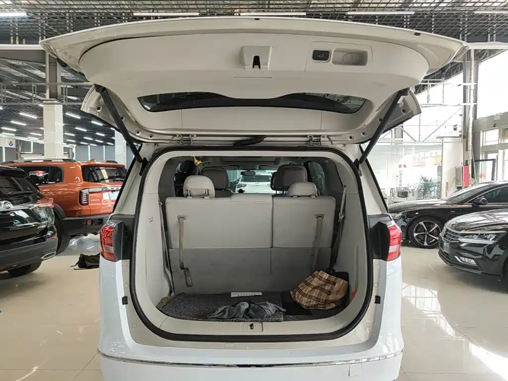 Buick GL8 — миниатюра 19