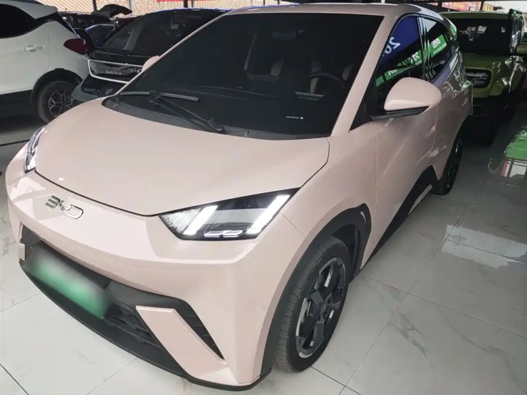 Byd Seagull 2024