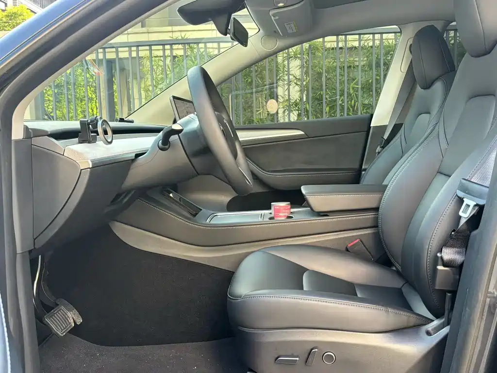 Tesla Model Y — миниатюра 5