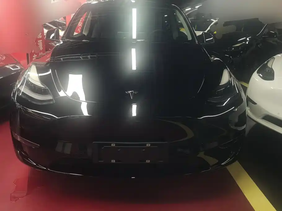 Tesla Model Y — миниатюра 2