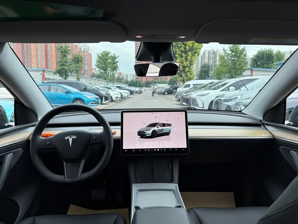 Tesla Model Y — миниатюра 8