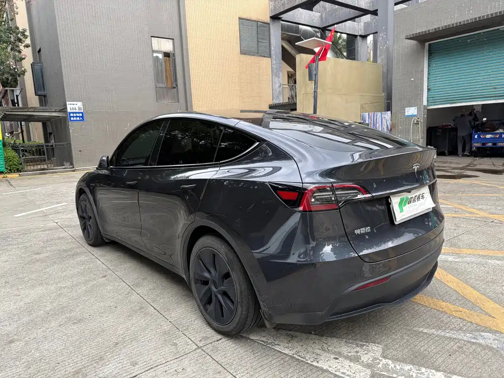 Tesla Model Y — миниатюра 7