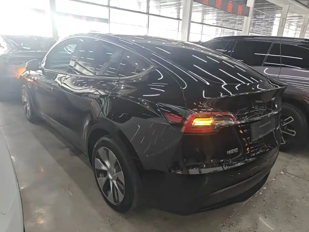 Tesla Model Y — миниатюра 23