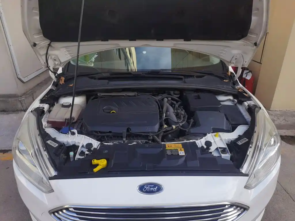 Ford Focus — миниатюра 21
