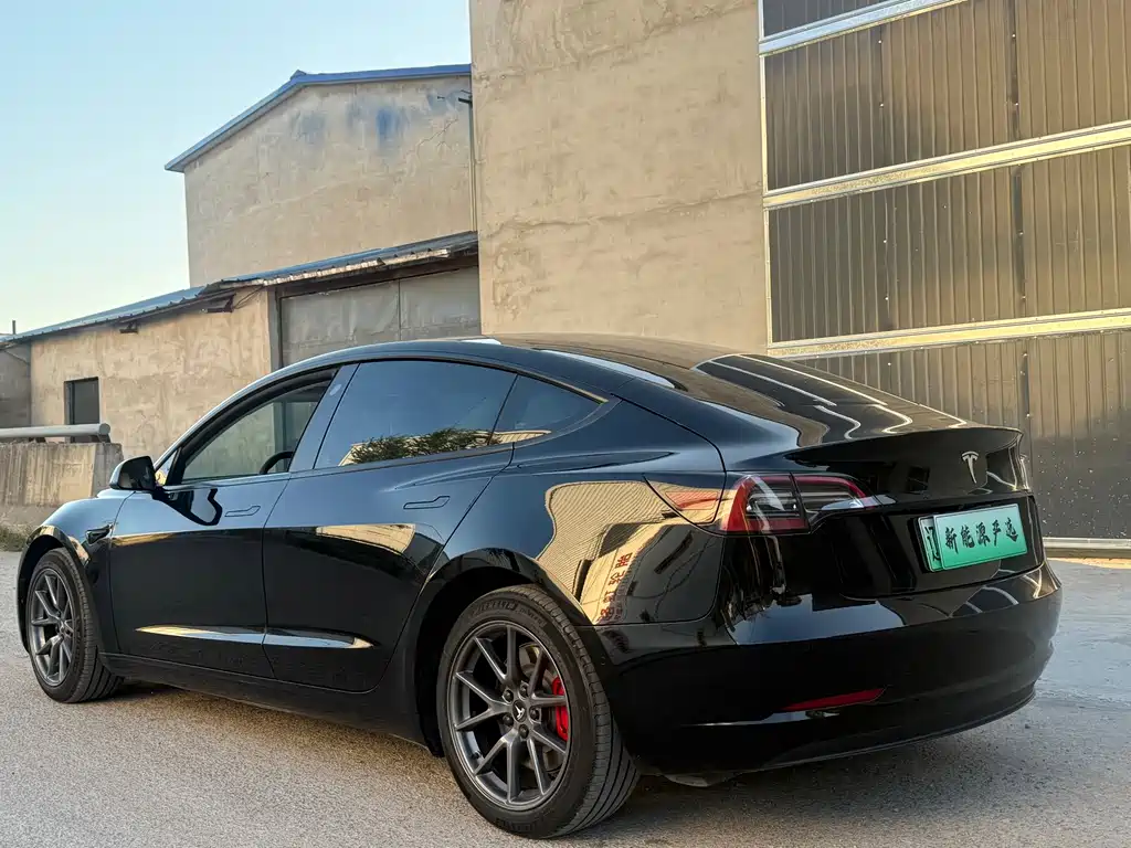 Tesla Model 3 — миниатюра 4