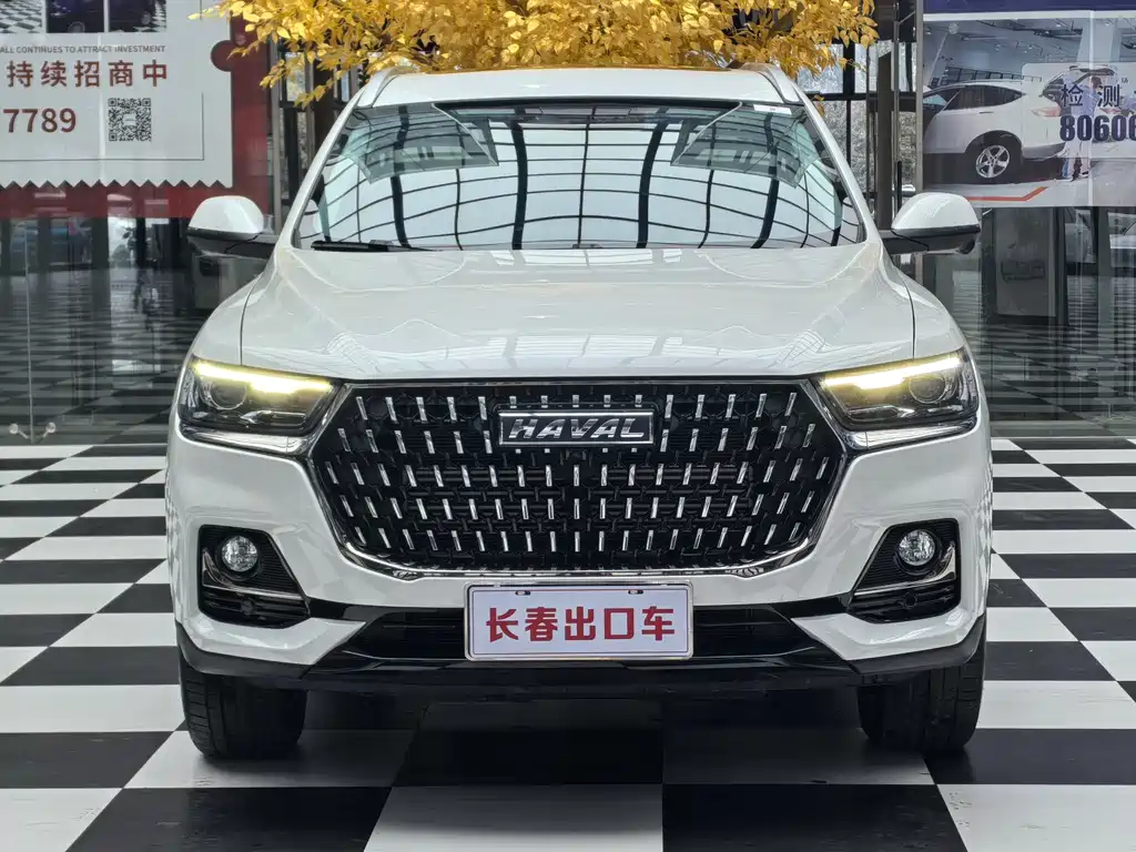 Haval H6 — миниатюра 2