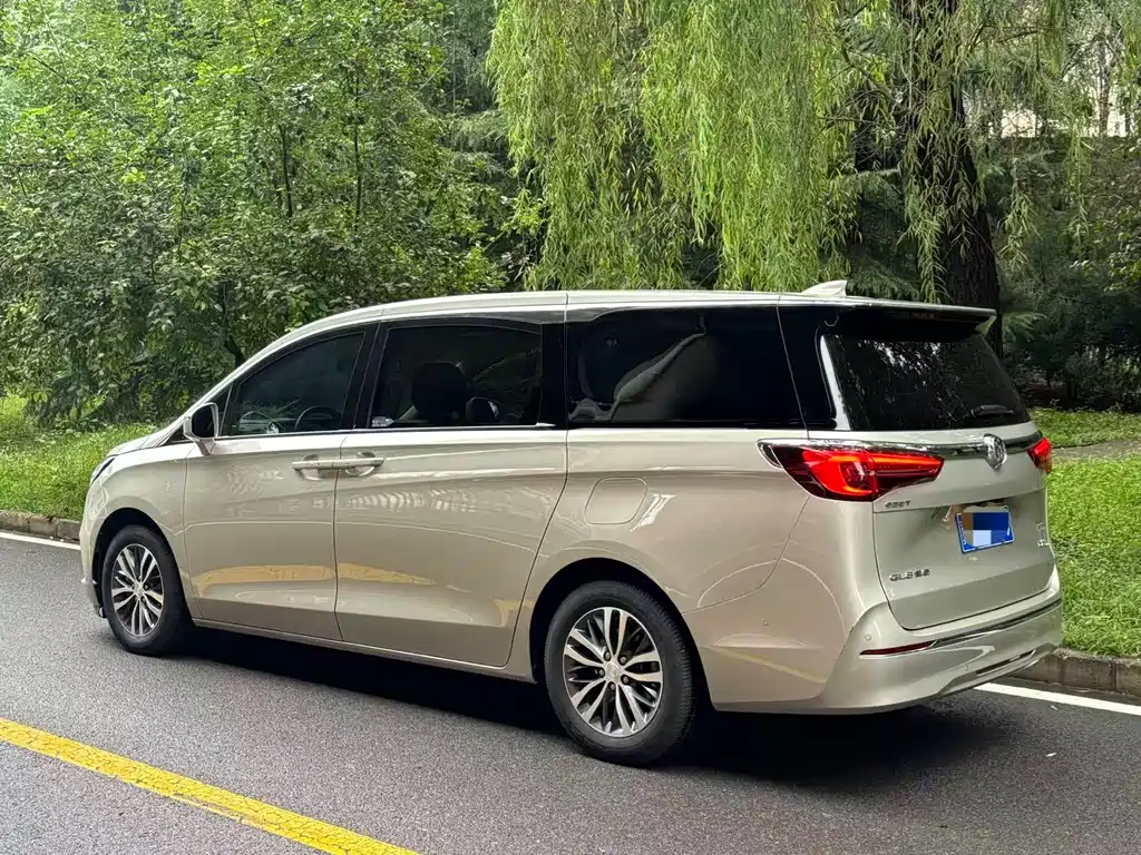 Buick GL8 — миниатюра 4
