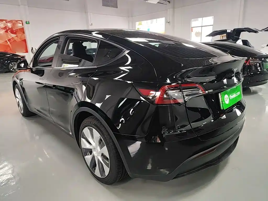 Tesla Model Y — миниатюра 5