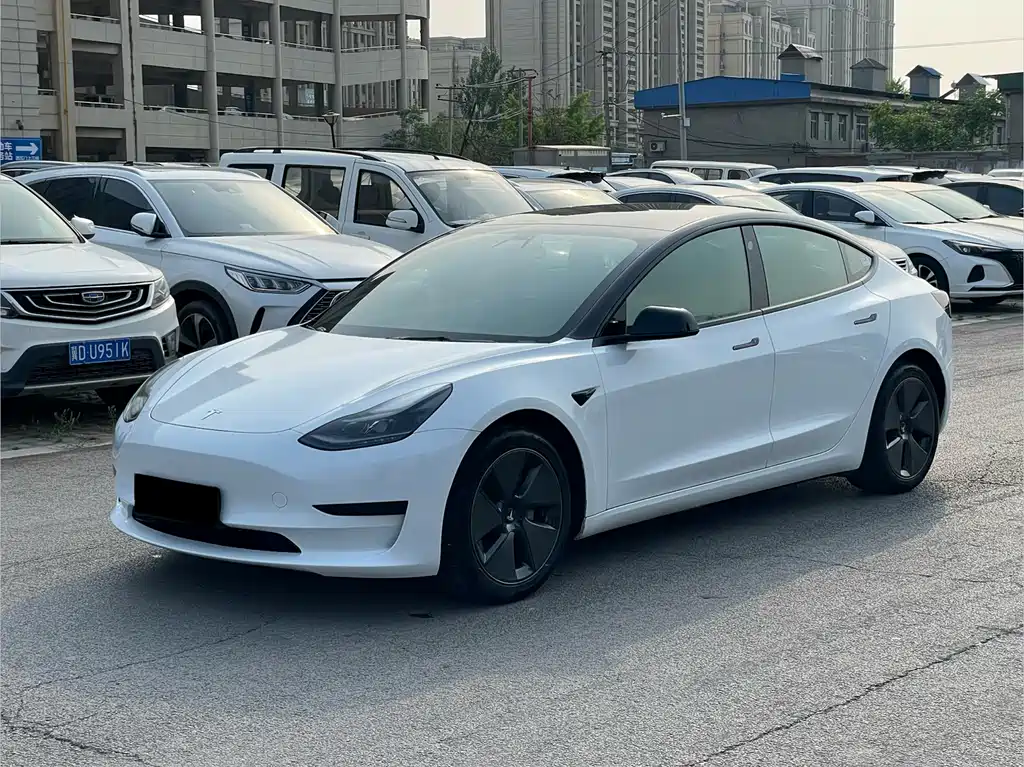 Tesla Model 3 2021