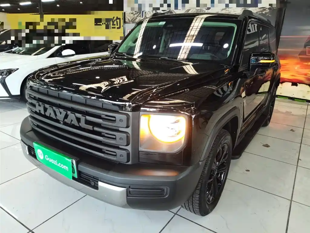 Haval Menglong New Energy 2024