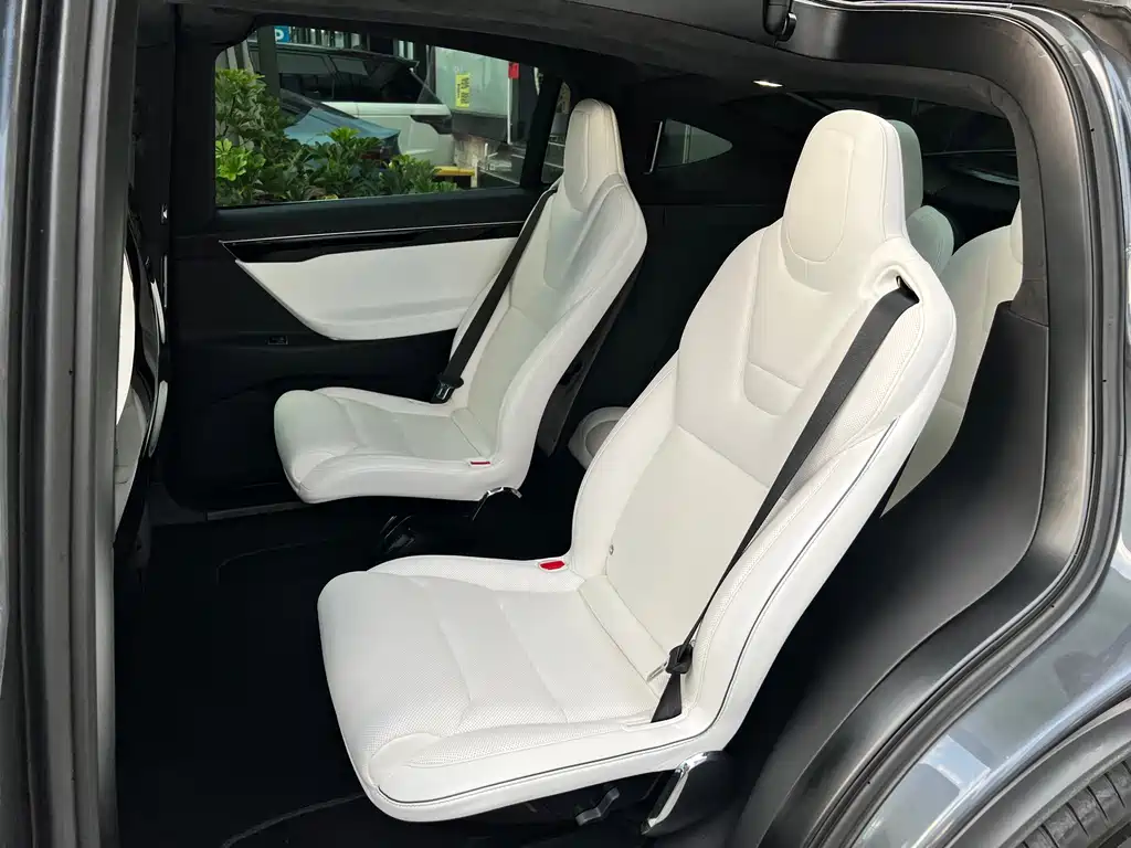 Tesla Model X — миниатюра 6