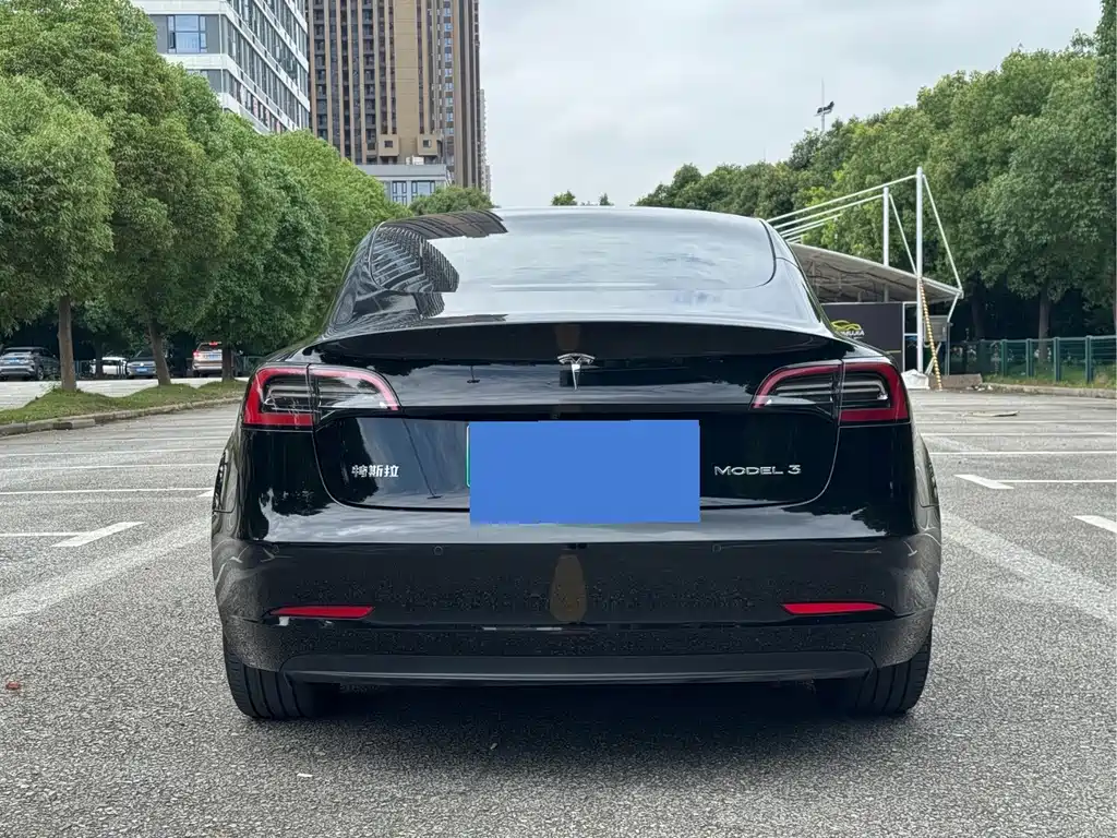 Tesla Model 3 — миниатюра 6