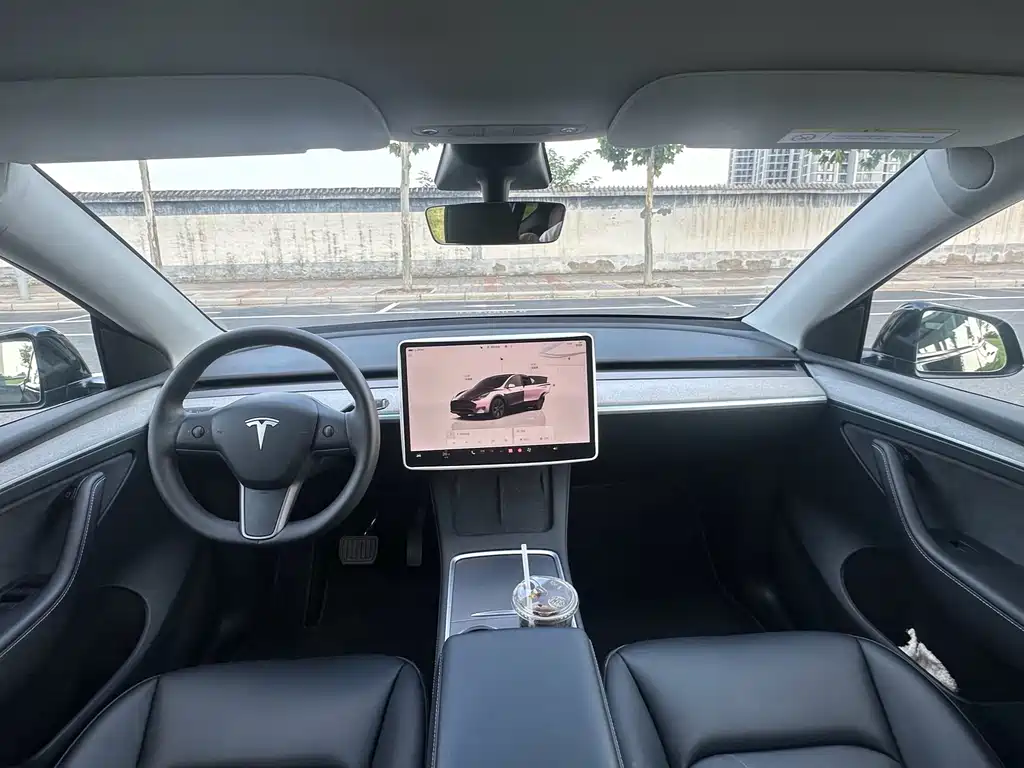 Tesla Model Y — миниатюра 5