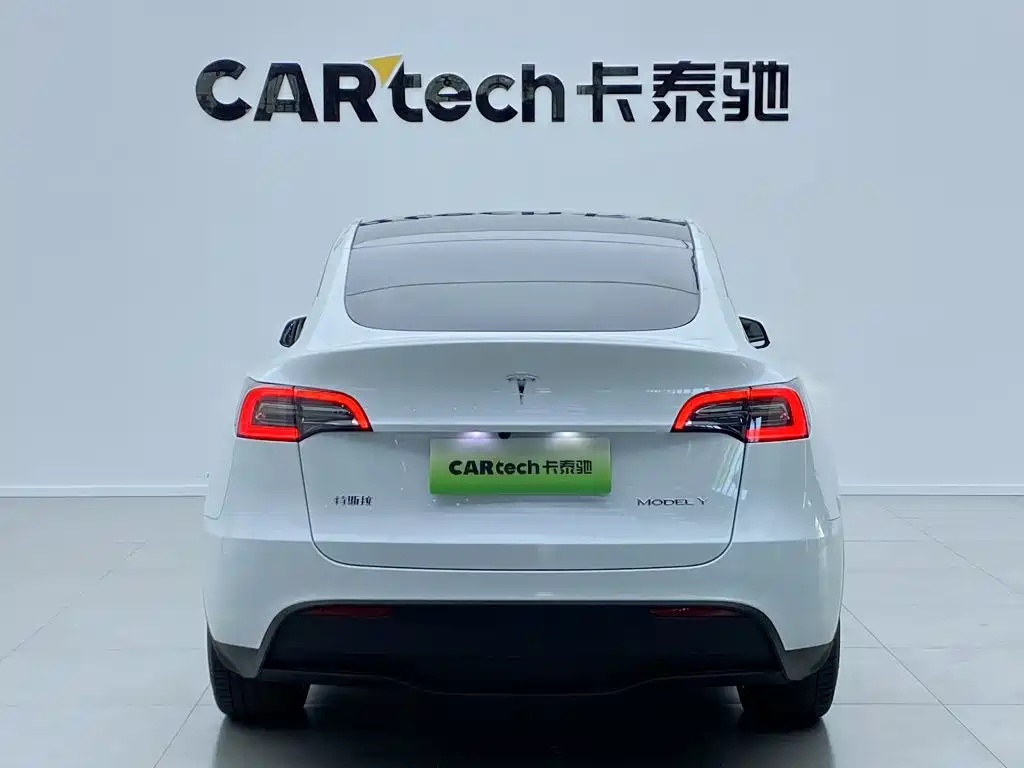 Tesla Model Y — миниатюра 5