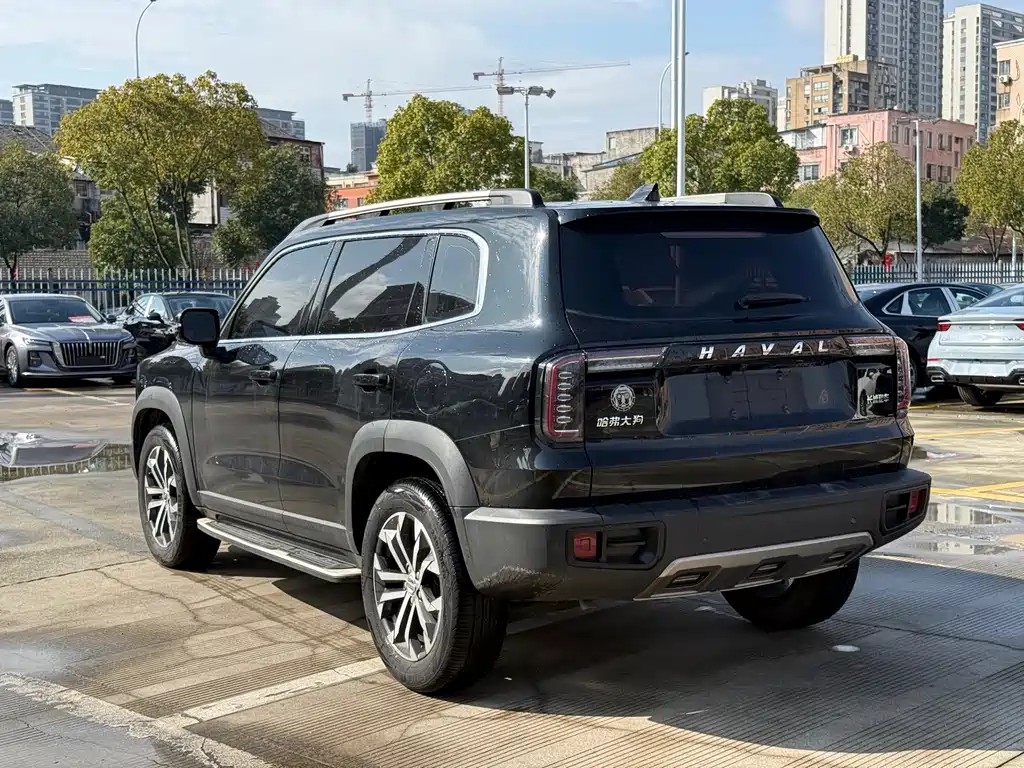 HAVAL BIG DOG