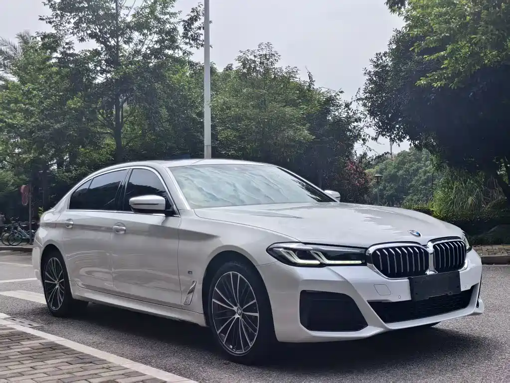 BMW 5 Series — миниатюра 3