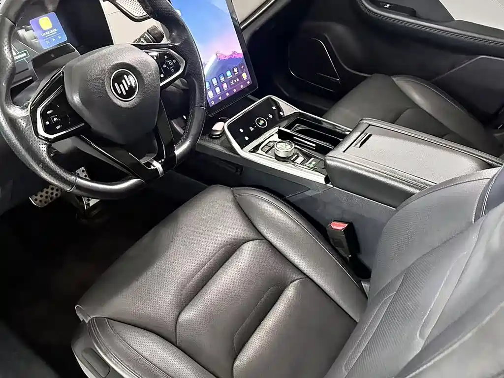 Weltmeister WEIMA EX5