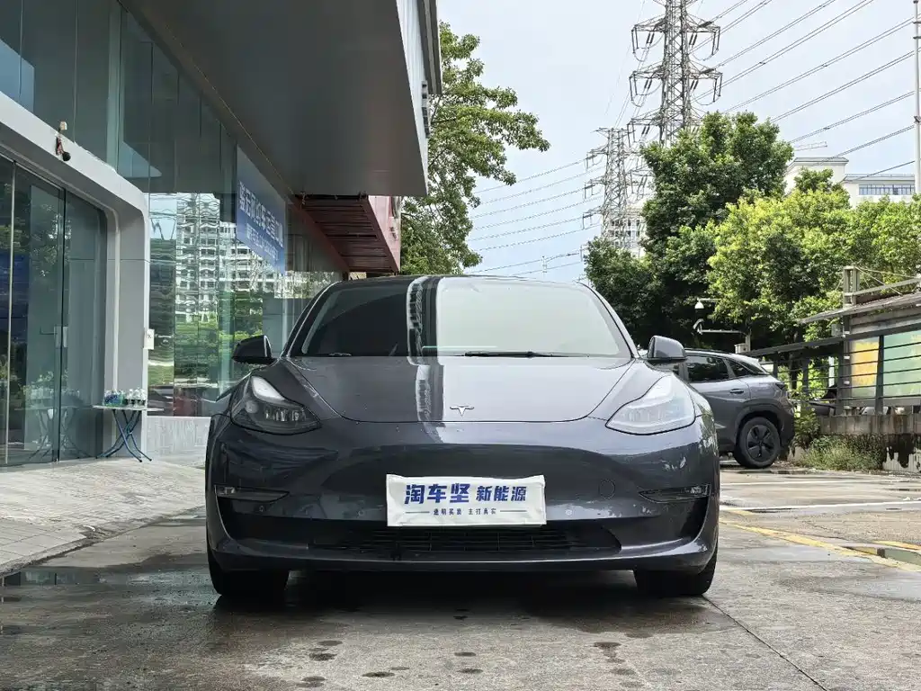 Tesla Model 3 — миниатюра 4