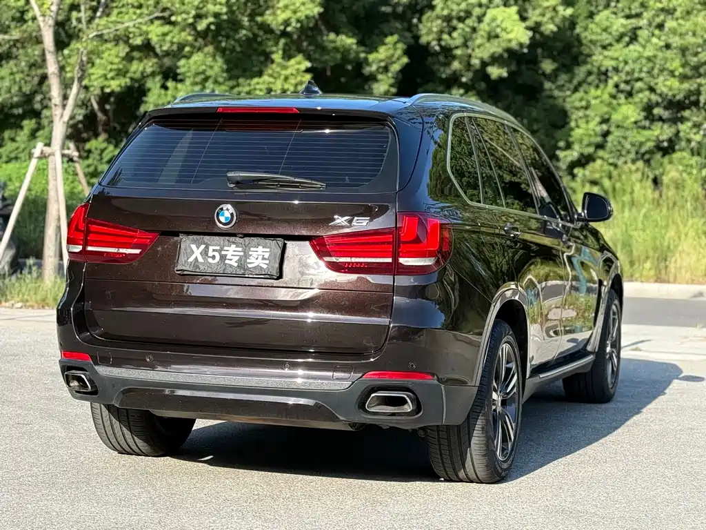 BMW X5 (Import) — миниатюра 16