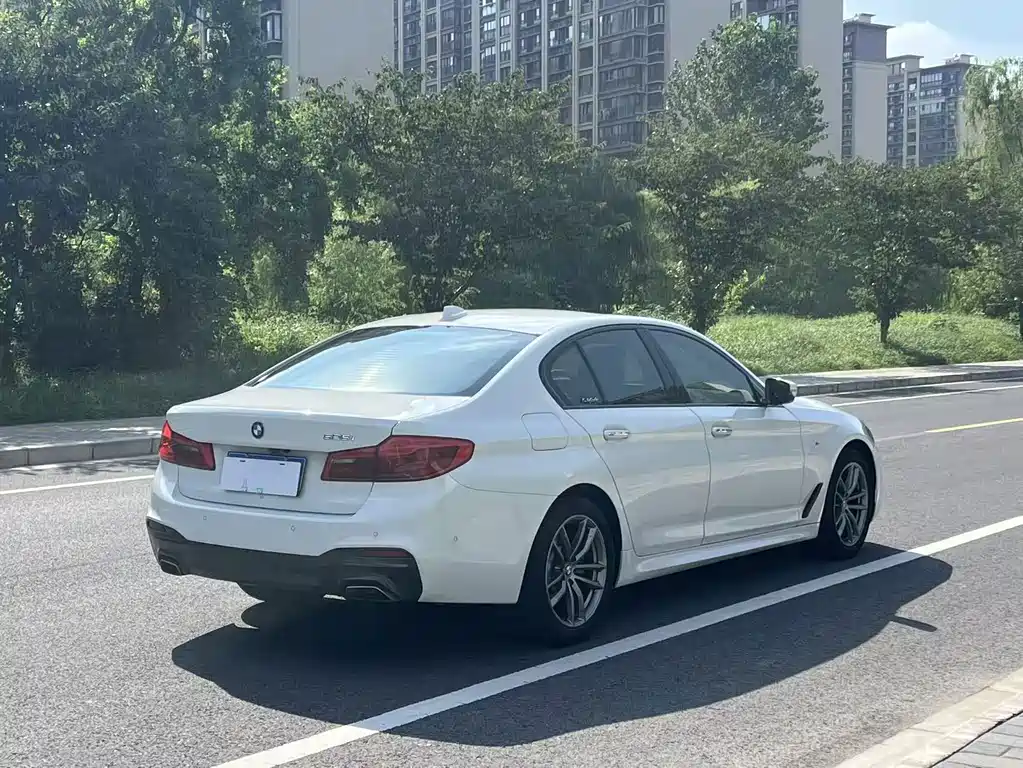 BMW 5 Series (Import) — миниатюра 5