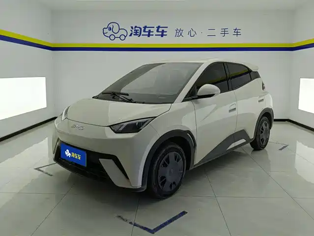 2025 BYD Seagull