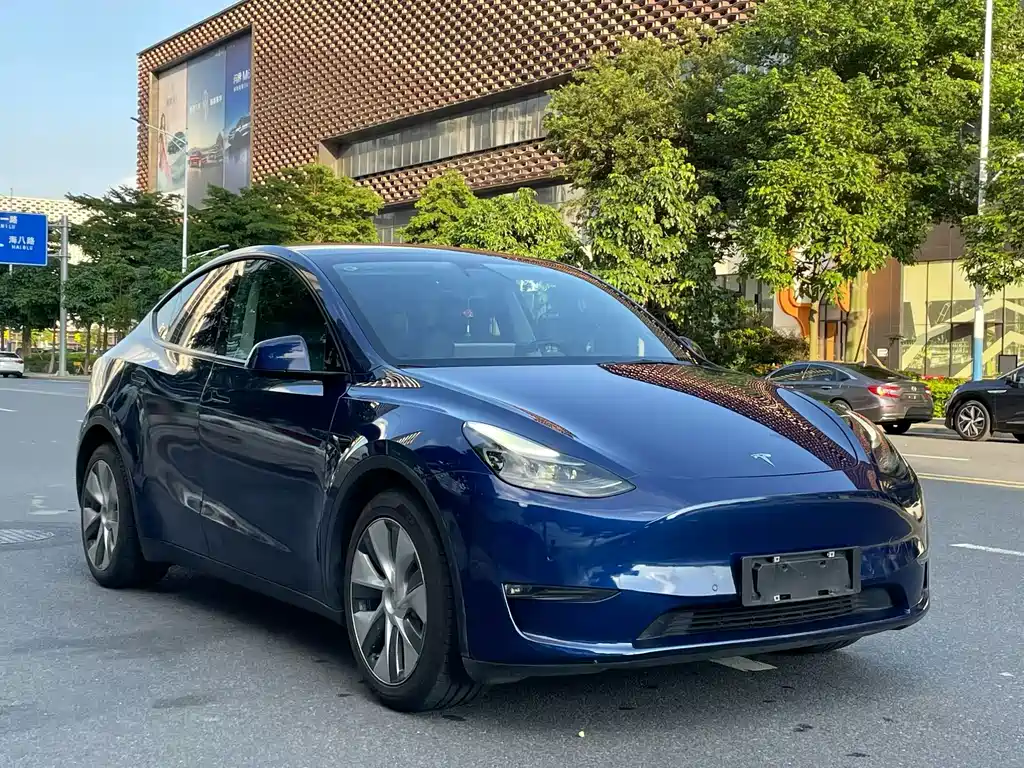 Tesla Model Y — миниатюра 3