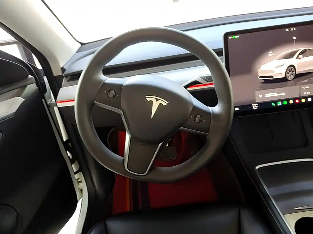 Tesla Model Y — миниатюра 11
