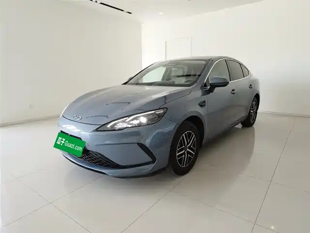 2025 BYD Sea Lion