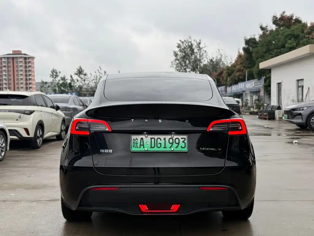 Tesla Model Y — миниатюра 10