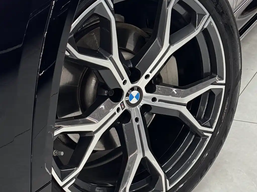 BMW X5 — миниатюра 11