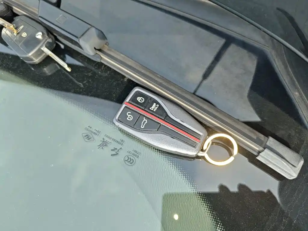 Hongqi Hongqi HS5 — миниатюра 9