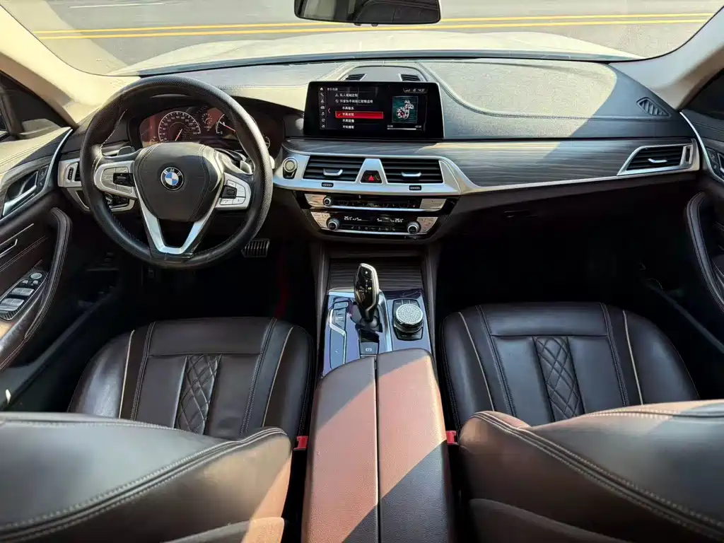 BMW 5 Series 5 2019 530Li Lead Luxury
