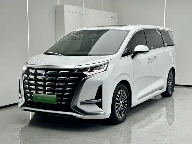 Denza D9
