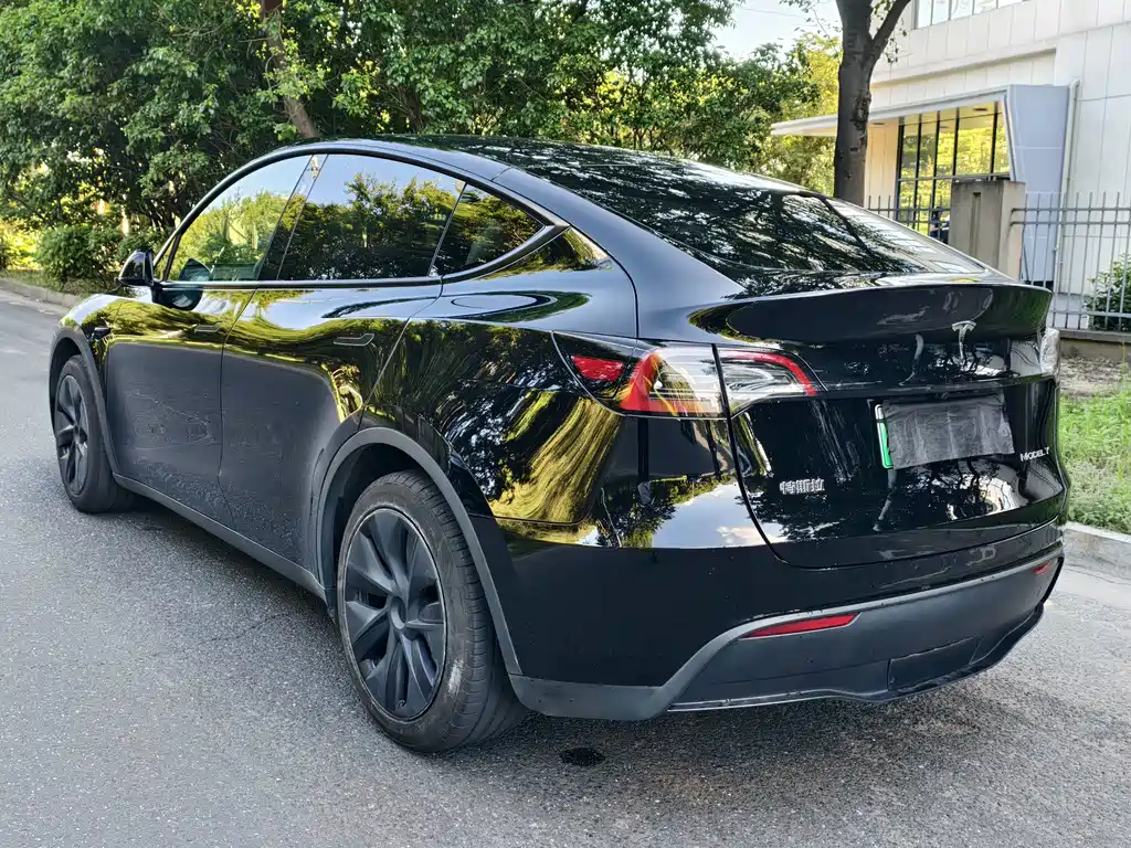 Tesla Model Y — миниатюра 5