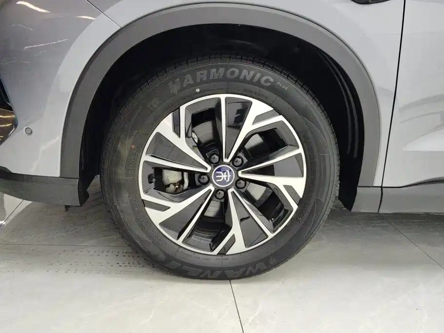 BYD Pro New Energy — миниатюра 6