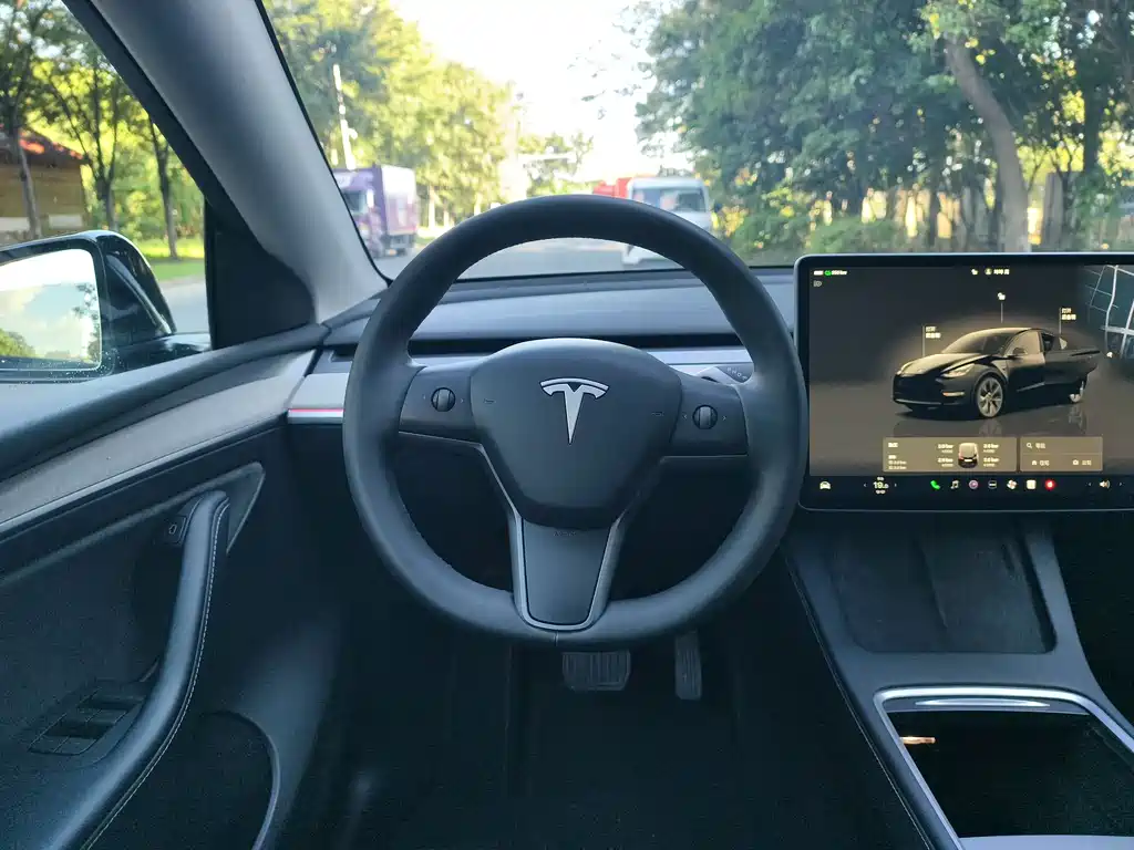 Tesla Model Y — миниатюра 19