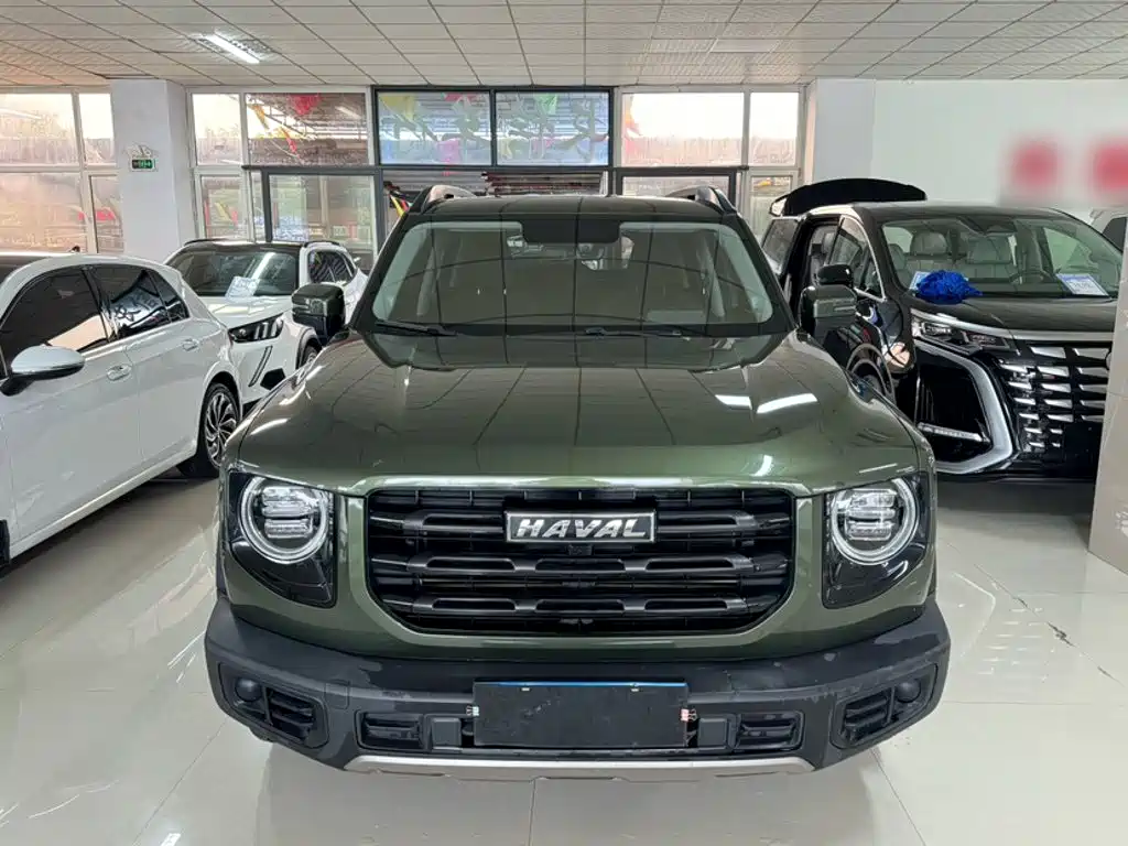 Haval Big Dog — миниатюра 22