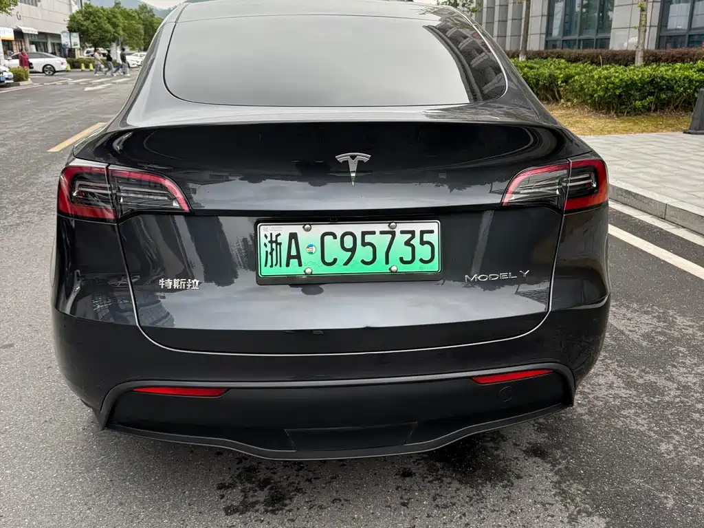 Tesla Model Y — миниатюра 8