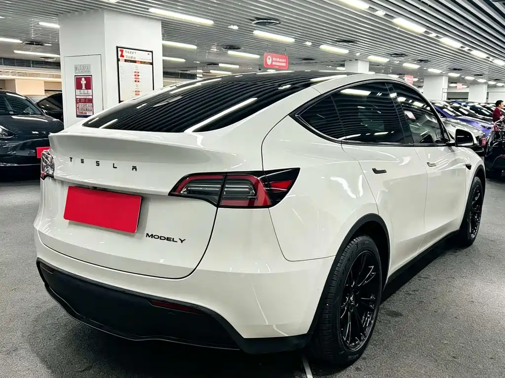 Tesla Model Y — миниатюра 7