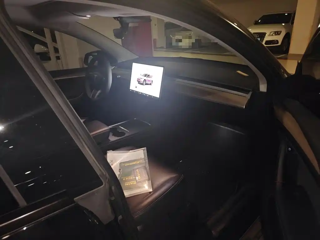 Tesla Model Y — миниатюра 19