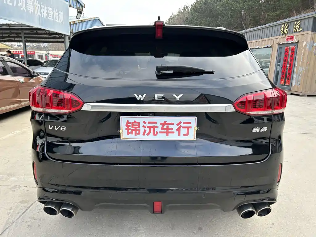 WEI PAI WEI BRAND VV6