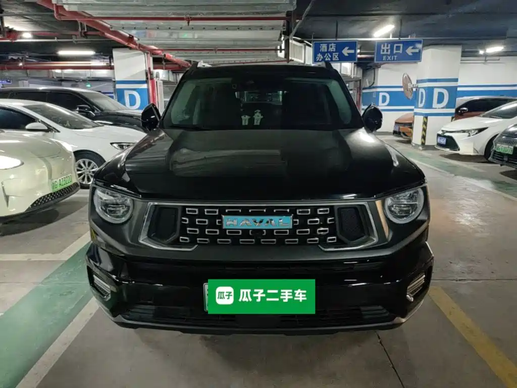 Haval Big Dog PLUS New Energy — миниатюра 2