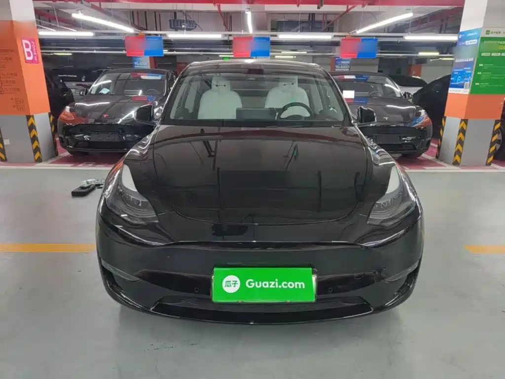 Tesla Model Y — миниатюра 3