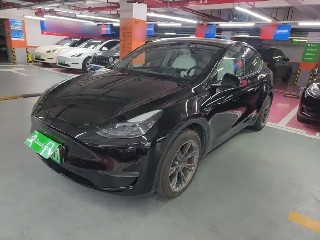 Tesla Model Y — миниатюра 2