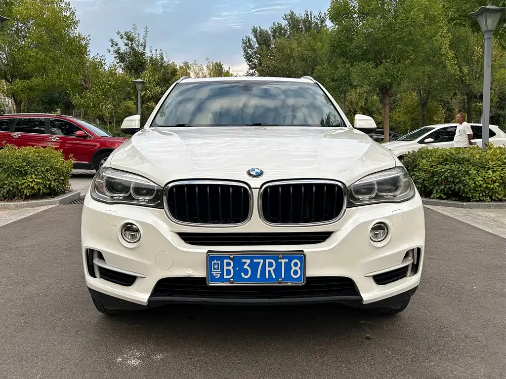 BMW X5 (Import) — миниатюра 2