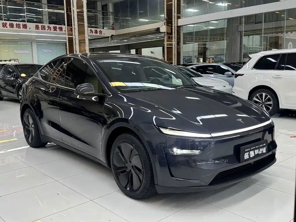 Tesla Model Y — миниатюра 3