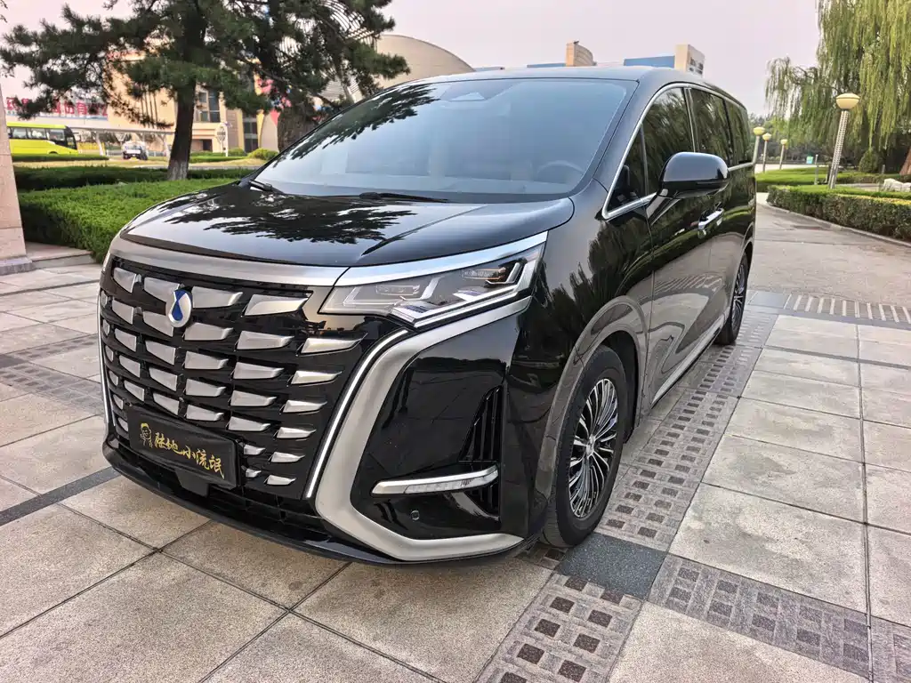 Denza Denza D9 — миниатюра 3