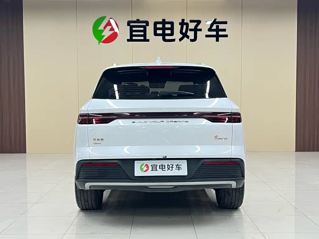 BYD SONGJIANG NEW ENERGY